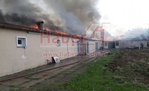 Darıca Bayramoğlu'nda Korkutan Yangın