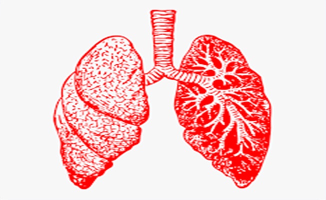 Akciğer Hastalıkları ve Solunum Rahatsızlıkları