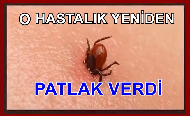 7 İlde yeniden patlak verdi:1 Ölü