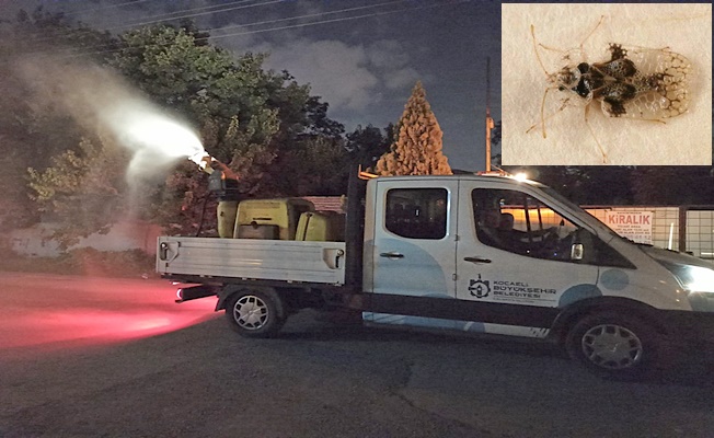 Böcek istilasına karşı Büyükşehir’den topyekün önlem