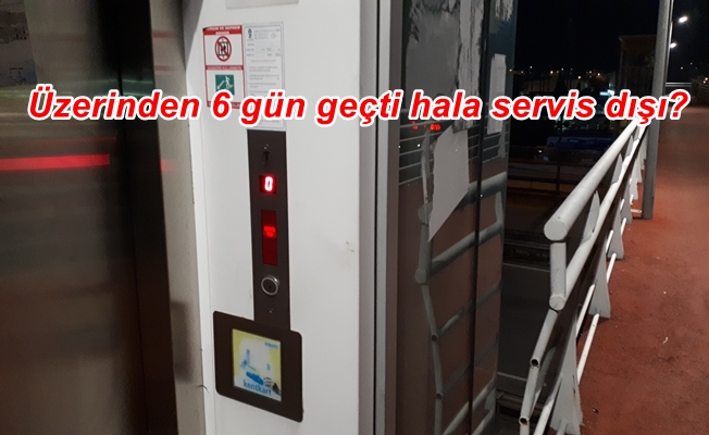 Yaşlı ve Engelli Asansörü Hala Yapılmadı!