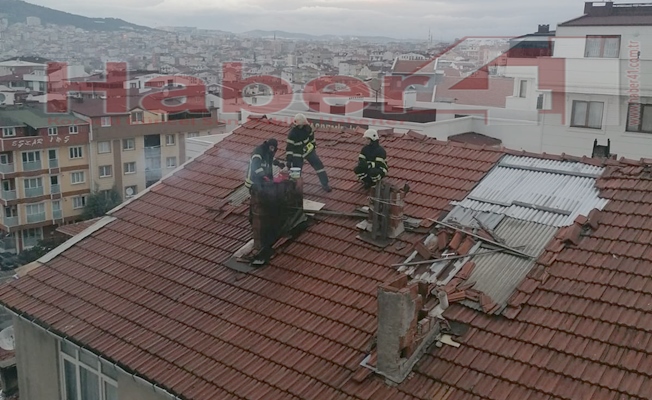 Gebze'de baca yangını korkuttu!