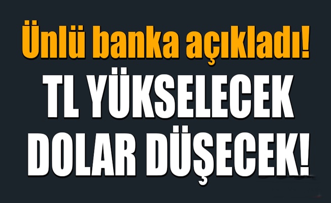 TL yükselecek, Dolar düşecek