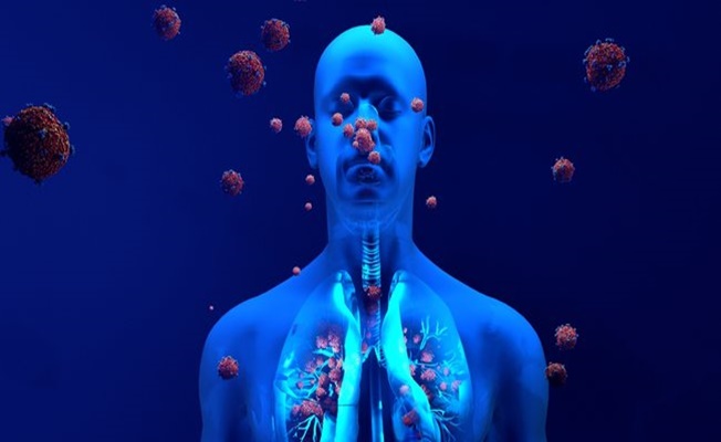 Bağışıklık Sistemini Neler Zayıflatır?