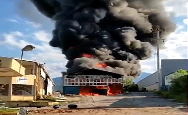 Kullanılmayan fabrika deposunda yangın çıktı!