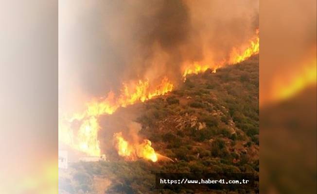 Kütahya ormanları yanıyor! Bazı köyler tahliye ediliyor