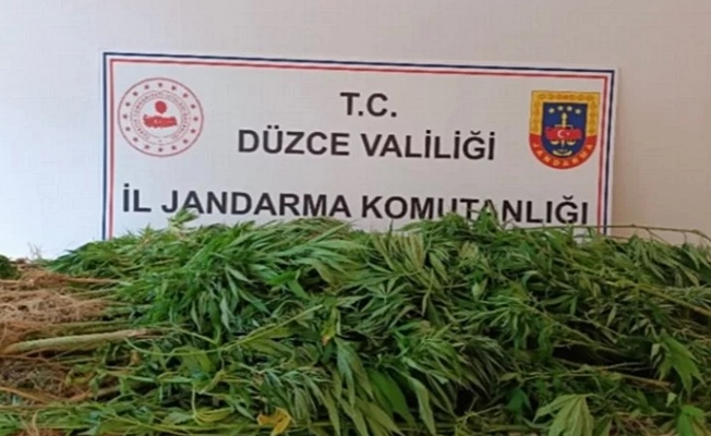 Düzce'de jandarmadan uyuşturucu operasyonu Düzce'de jandarmadan uyuşturucu operasyonu