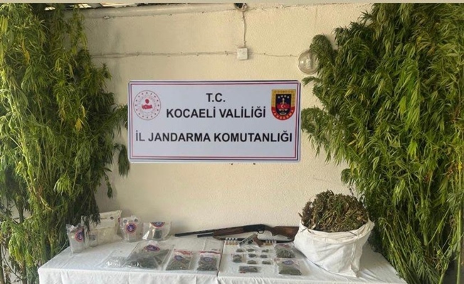 Kocaeli'de 3 ilçede uyuşturucu tacirlerine operasyon Kocaeli'de 3 ilçede uyuşturucu tacirlerine operasyon