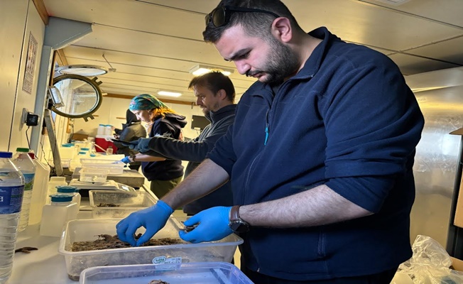 Biyoçeşitlilikte ekim ayı araştırması tamam