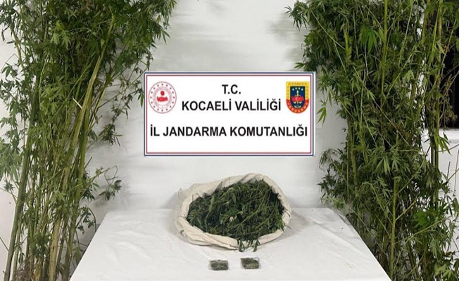 Kartepe'de uyuşturucu operasyonu Kartepe'de uyuşturucu operasyonu