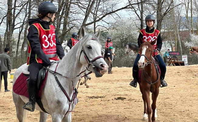 En dayanıklı atlar 120 km’lik parkurda yarıştı