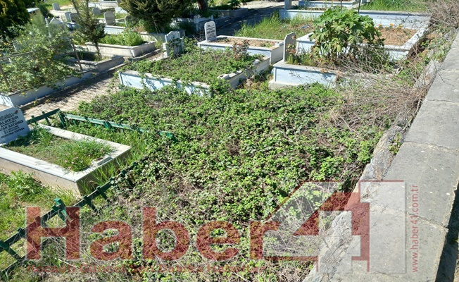 Gebze Belediyesi mezarlıkları bayramda unuttu!