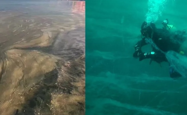 Marmara'nın kurtuluşuna tek çözüm denizin kirlilik yükünü azaltmak!