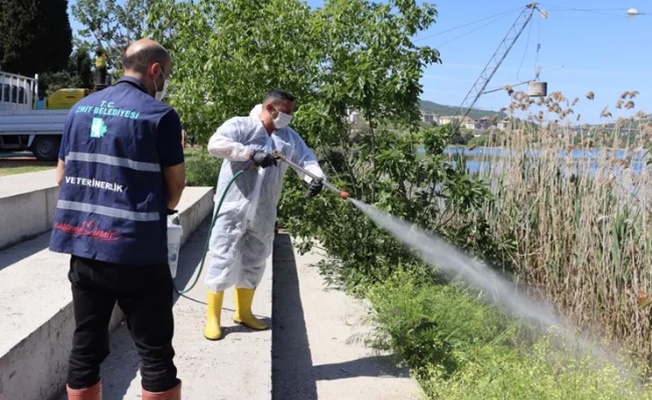 İzmit'te halk sağlığı için yoğun ilaçlama mesaisi