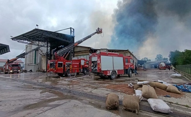 Sakarya’da fındık fabrikasında yangın