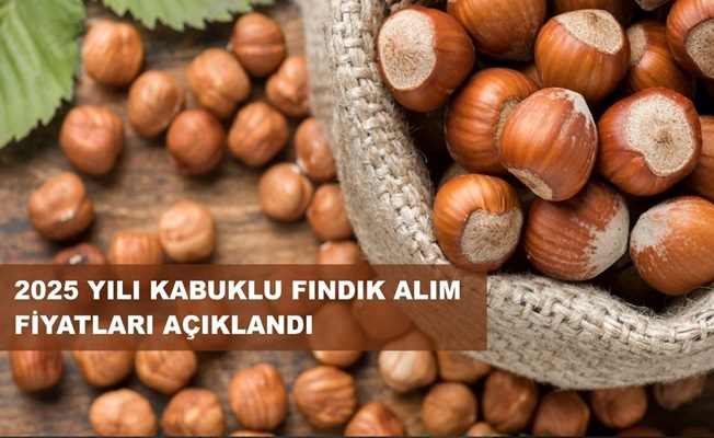 Fındık'ta Taban Fiyat Belli Oldu!