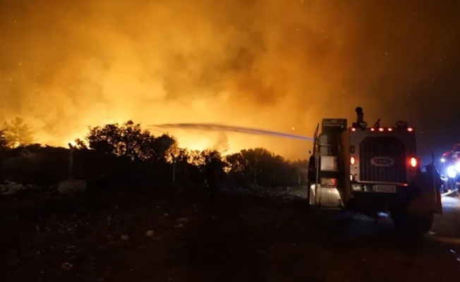 İzmir Buca'da orman yangını çıktı!