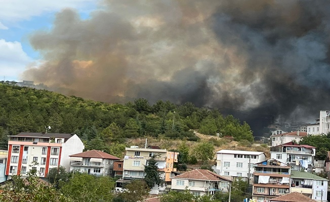 İzmit'te Korkutan Orman Yangını
