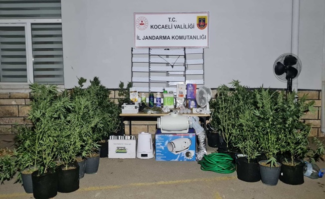 Kocaeli’de Uyuşturucu Operasyonu: 2 Tutuklama