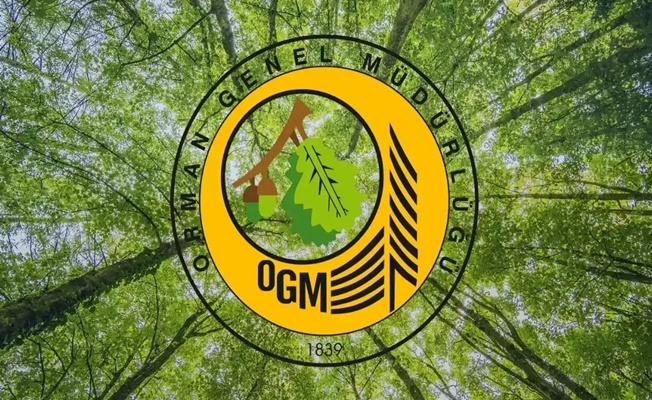 OGM: Orman yangını riski yükseldi, dikkatli olalım!