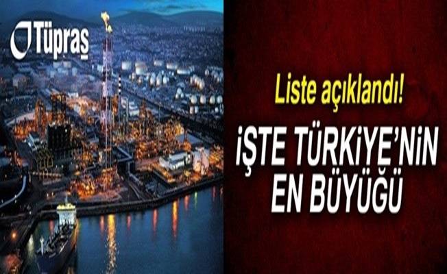 Türkiye'nin en büyük iki kuruluşu Kocaeli'den