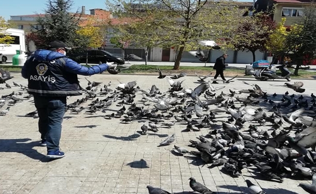 Gebze Polisi Kuşları Doyurdu