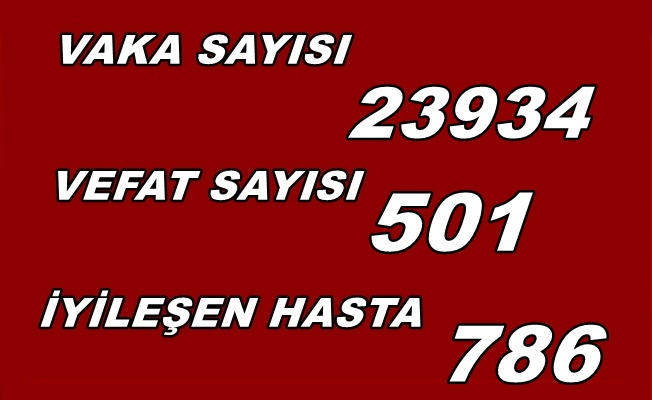 Koronavirüs'ten ölenlerin sayısı  501'e vaka 23 bin 934'e yükseldi