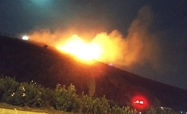 Gebze'de çıkan yangında çok sayıda çam ağacı yandı