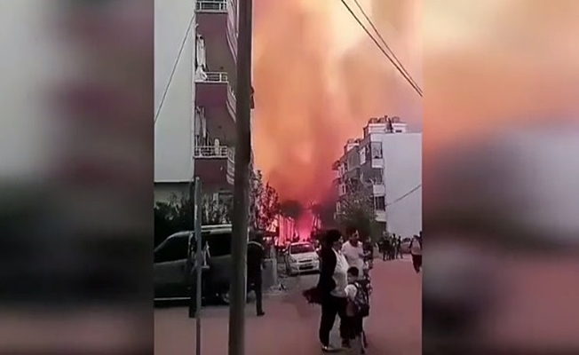 Hatay'da çıkan yangın evlere sıçradı!