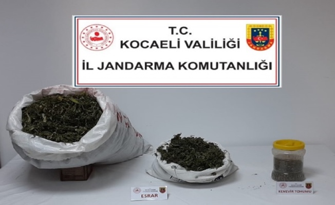 Jandarmadan uyuşturucu operasyonu