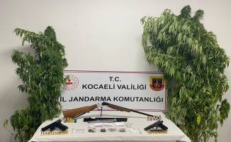 Jandarmadan Karamürsel'de uyuşturucu baskını