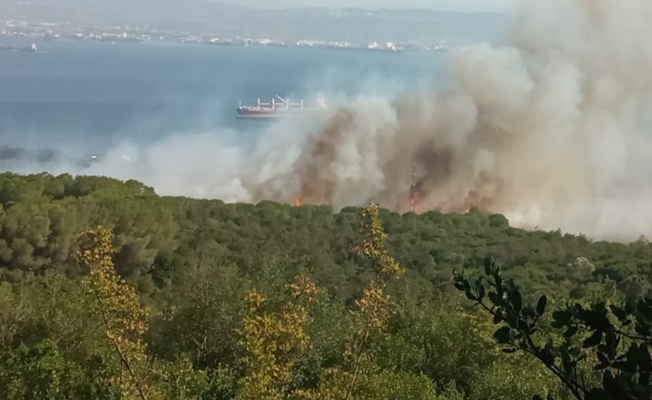 TÜBİTAK yerleşkesinde büyük yangın!