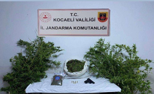 Kandıra'da  uyuşturucu operasyonu