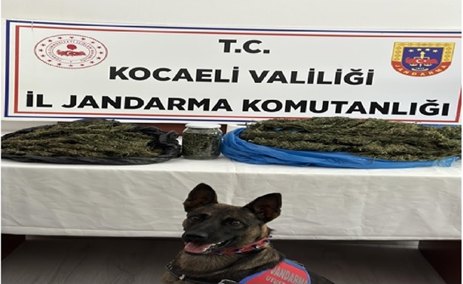 Uyuşturucu taciri 2 şahıs yakalandı