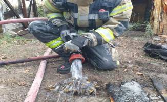 Yangından kurtarıldı suyla soğutuldu doğaya salındı