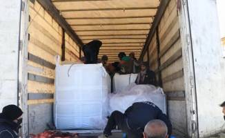 Düzce'de 39 kaçak göçmen yakalandı