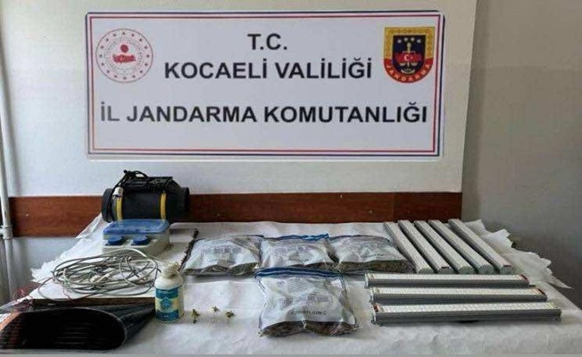 Kocaeli Jandarmadan uyuşturucu operasyonu!