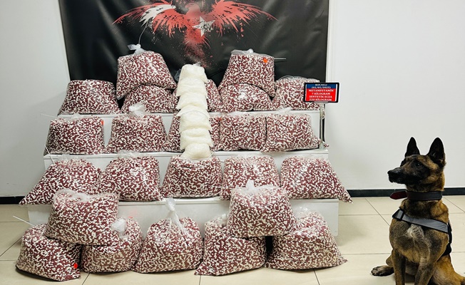 220 Kilo Zehir Yüklü Tır Gebze’de Yakalandı