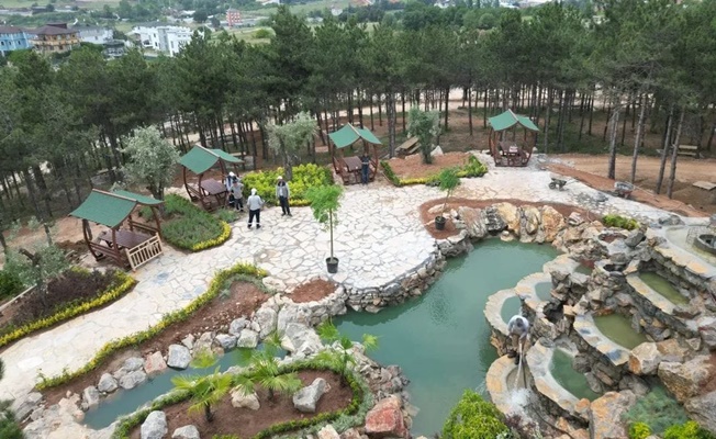 Pelitli Damga Tepe Mesire Alanında Çalışmalar Tüm Hızıyla Devam Ediyor