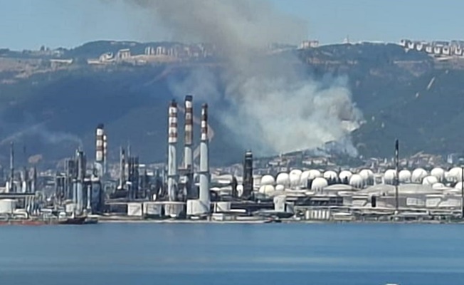 Kocaeli''de orman yangını meydana geldi: Ekiplerin çalışması devam ediyor!