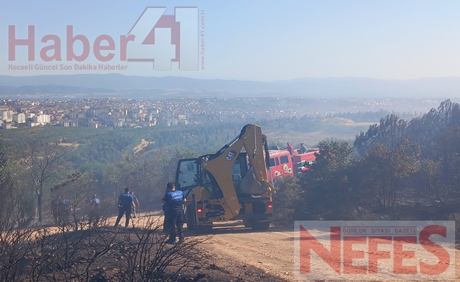 Gebze'de Orman Yangını Paniğe Yol Açtı: Ekipler Seferber Oldu