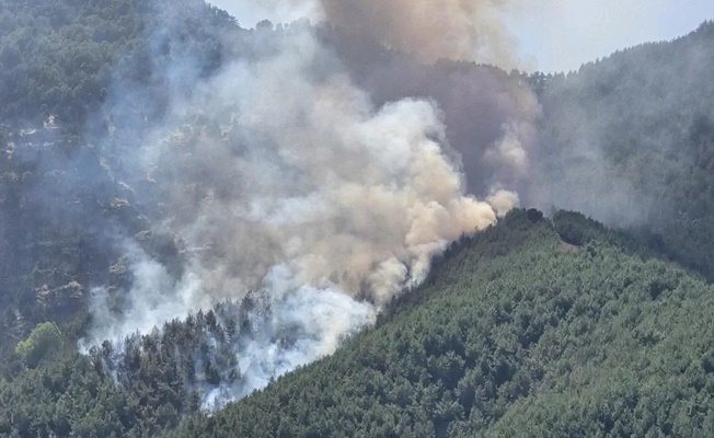 Orman yangınlarına ilişkin soruşturma: 13 kişi tutuklandı