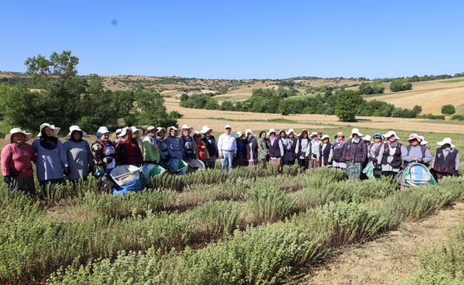 “Tıbbi ve Aromatik Bitki Yetiştiriciliği Projesi” meyvelerini veriyor