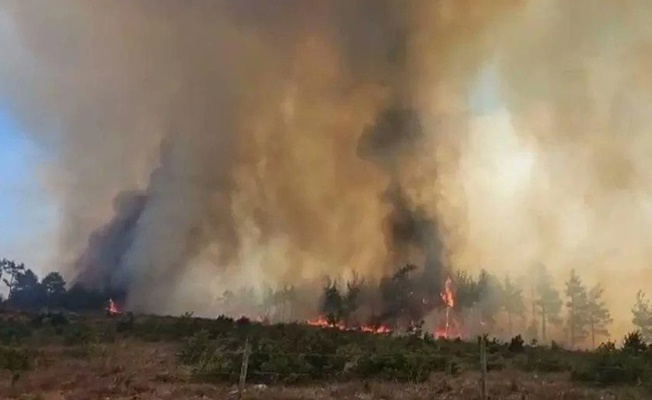 Çanakkale Merkez’de orman yangını