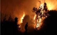 Bulgaristan'daki orman yangını sınıra dayandı!