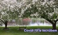 Covid-19'la tecrübem