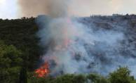 Gebze'de ormanlık alanda çıkan yangına ekiplerin müdahalesi sürüyor
