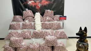 220 Kilo Zehir Yüklü Tır Gebzede Yakalandı